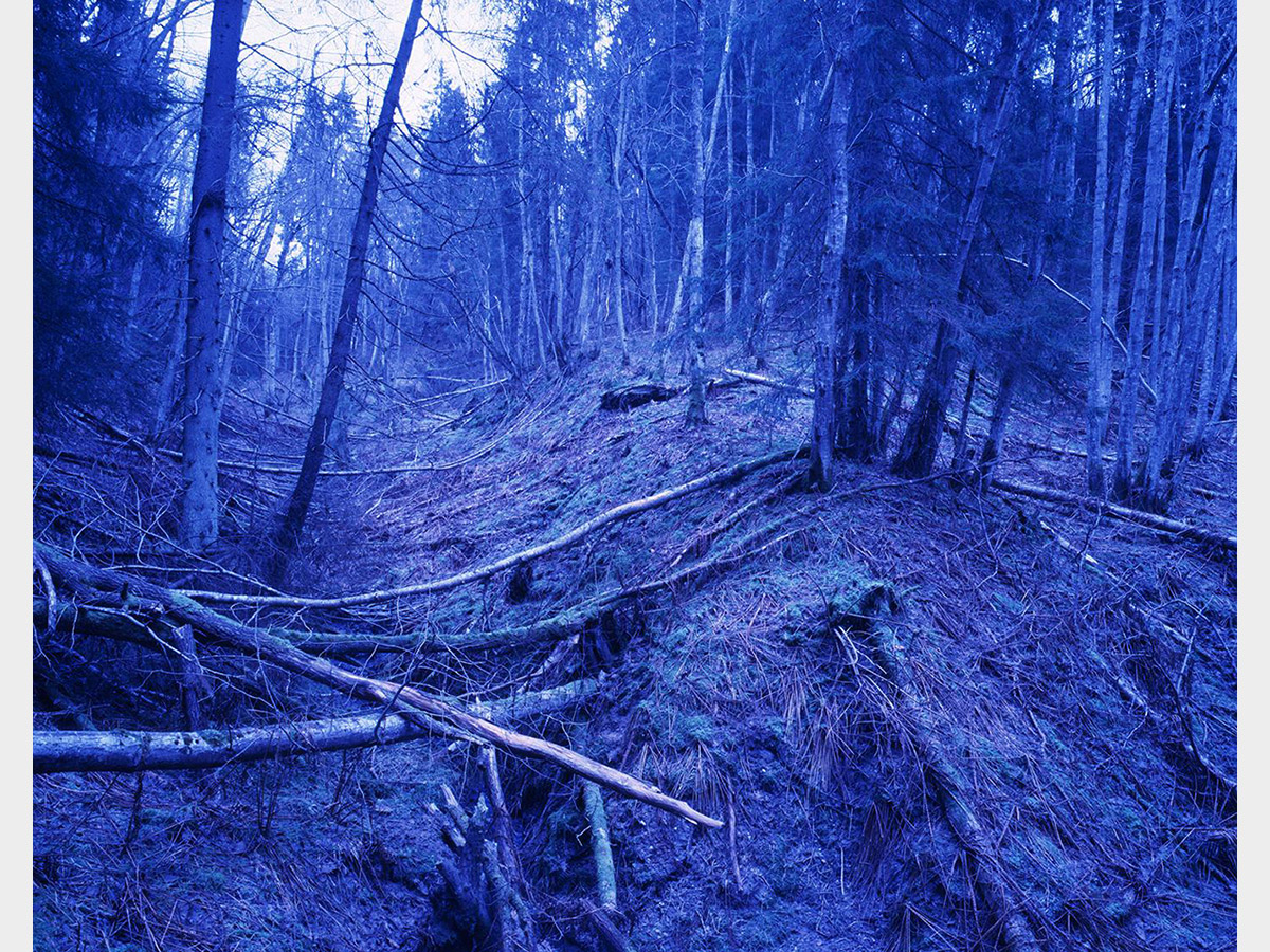 009 Morten Andersen, Blue Forest, self published, 2009