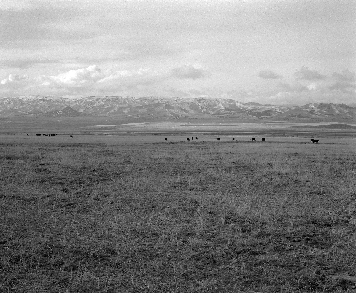 01.“Mo’dinna mo’dinna” (I wanna go back home), Italia/America, 2016 Courtesy dell’artista