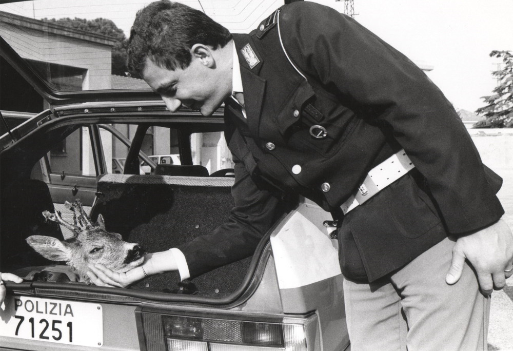 02_animali-allevatori2-3 Pasquale Bove, Animali + Allevatori Italia,Rimini e provincia, anni ’80-2000, 35 x 50 cm © Pasquale Bove