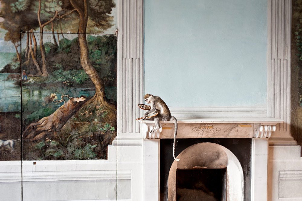 Francesca Catastini, Whosoever Doth Well Known Himself, Shall Know the Brute Beasts, Pisa, 2013, 70×100 cm. Courtesy: the artist