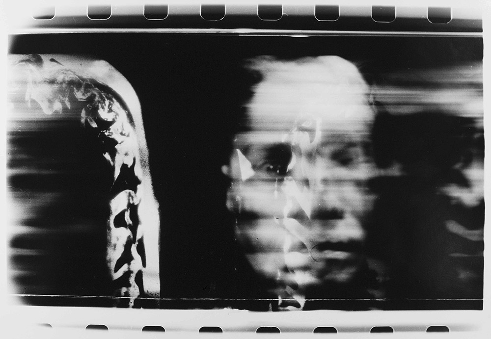 Paolo Gioli, Nature attraverso, Cervone (elaphe quatuorlineata). Sala di zoologia, Musei Civici Reggio Emilia, 2016 © Paolo Gioli