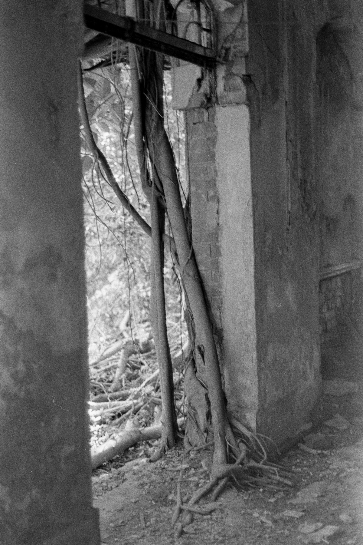 2020_Eden_SGupta_press-images0002 Soham Gupta, Eden, 2018-in corso, © Soham Gupta