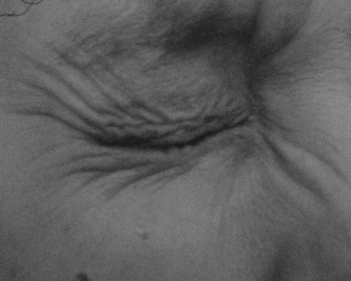 Khôl, 2020©Yasmina Benabderrahmane, Adagp, Paris, 2021.