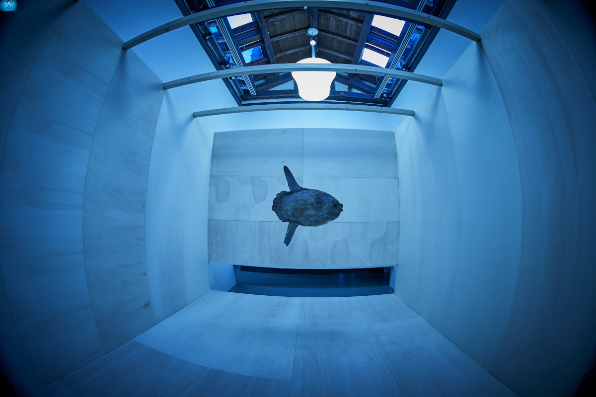 Luca Manfredi Wunderkammer. Le stanze delle meraviglie, 2021 ©Luca Manfredi