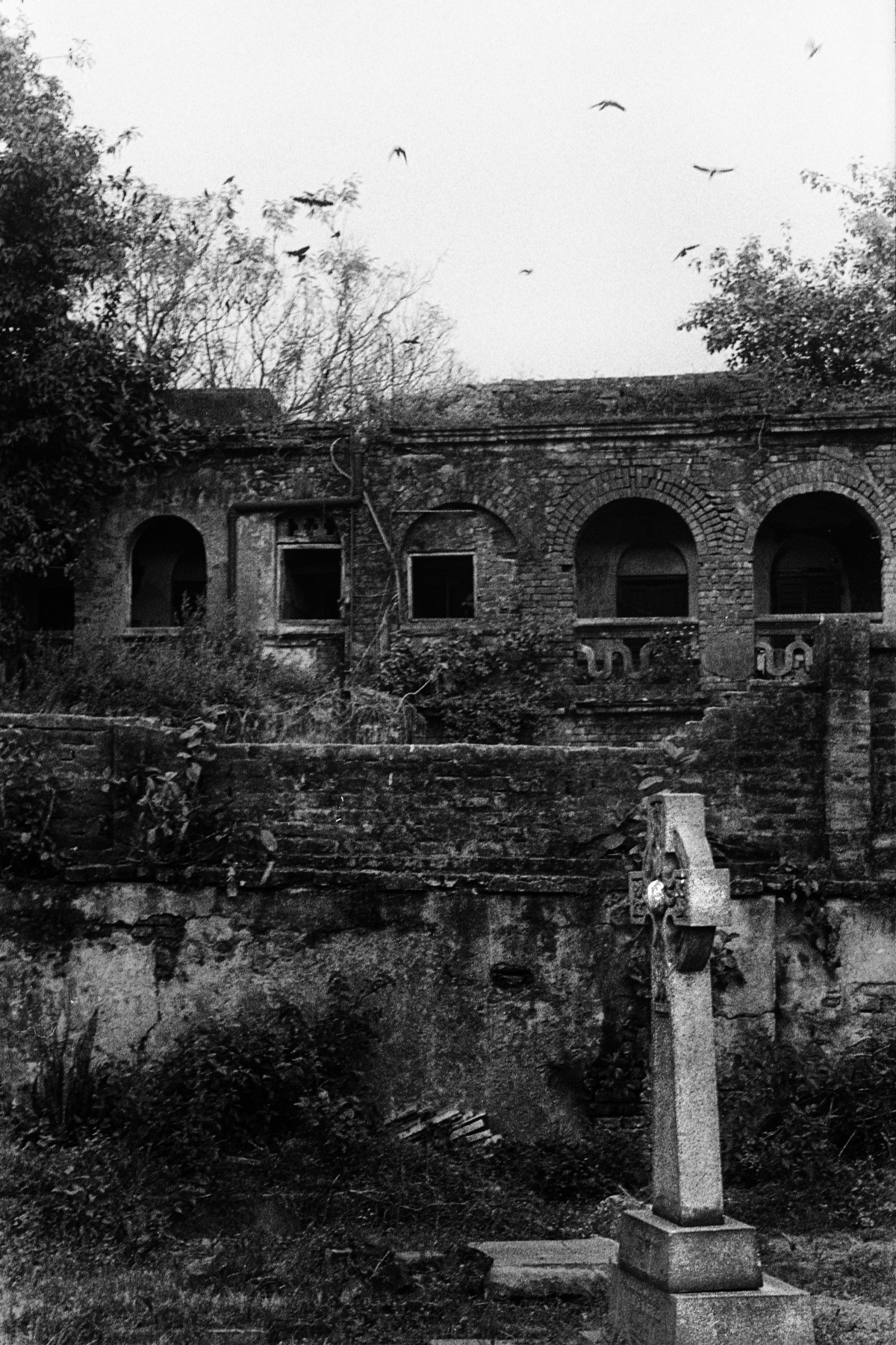 Soham Gupta, Eden, 2018-in corso, © Soham Gupta