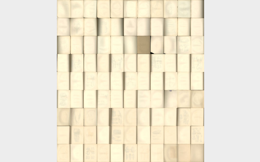 Ákos Czigány, 99 blank pages from The zoology of the voyage of H.M.S. Beagle. Edited and superintended by Charles Darwin. London: Henry Colburn. 1838–1843. Part 1 Fossil Mammalia by R. Owen. 1838–1840, 2009-10. courtesy Várfok Gallery, Budapest