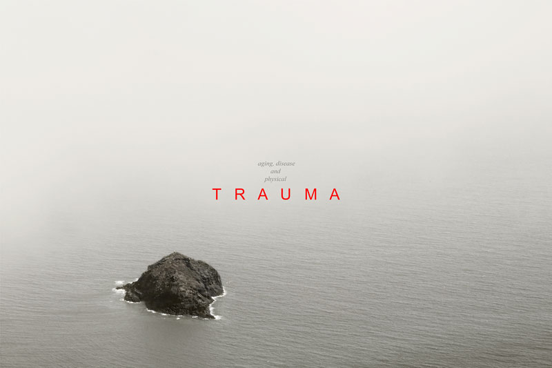 Trauma, Pino Torinese 2014 © Pierluigi Fresia
