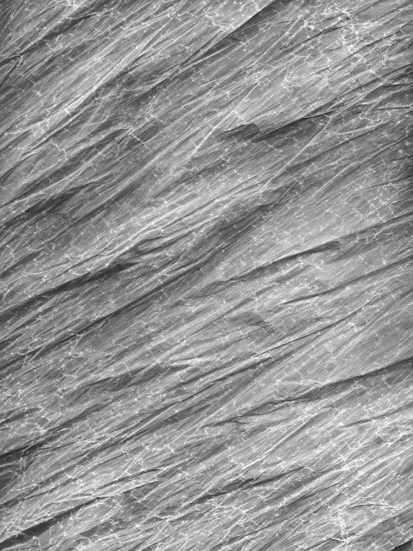 ©-Giulia-Flavia-Baczynski-Carta-fisica-della-Terra-1 © Giulia Flavia Baczynski, Carta fisica della Terra #1